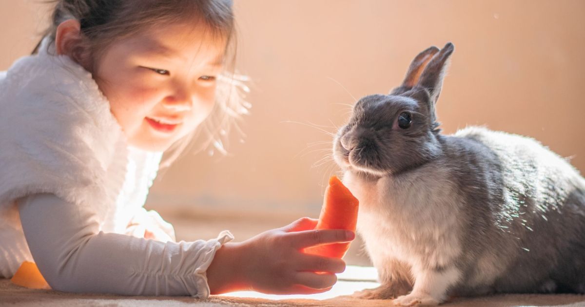 ペットの飼育が難しい賃貸でも比較的飼いやすい 犬 猫以外のペット 6選 Comori コモリ